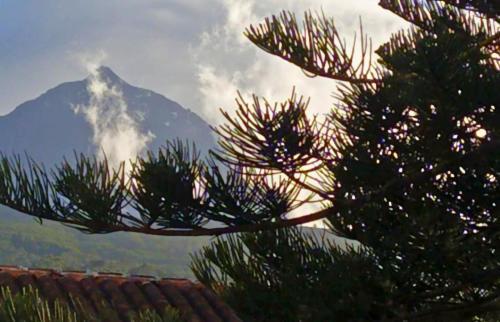 Azores Youth Hostels - Pico São Roque do Pico Dış mekan fotoğraf